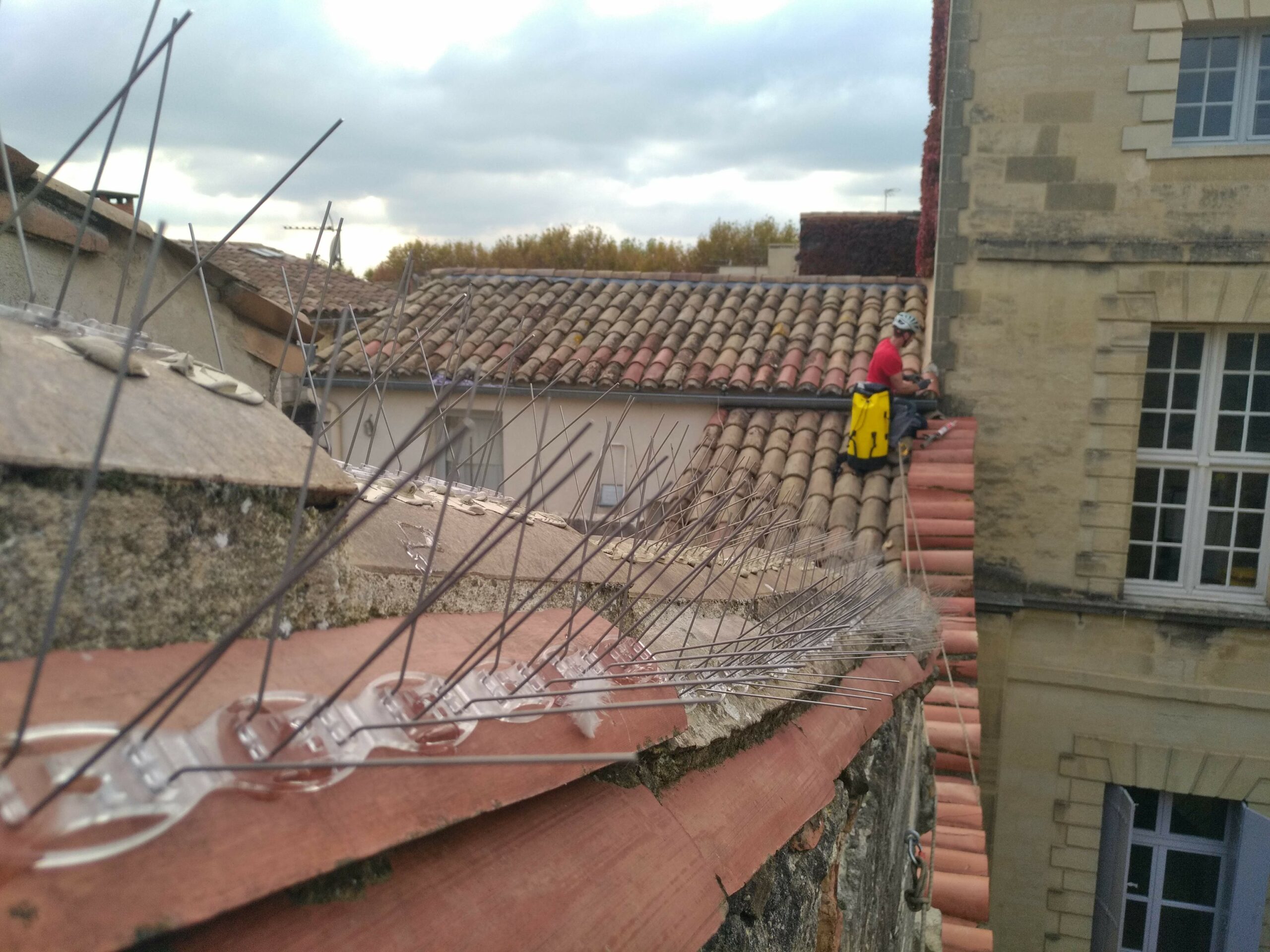Lutte contre les volatiles