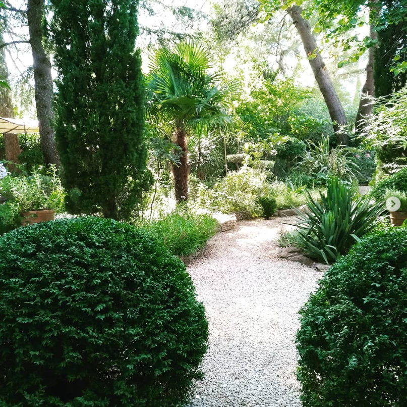 Art topiaire Nîmes