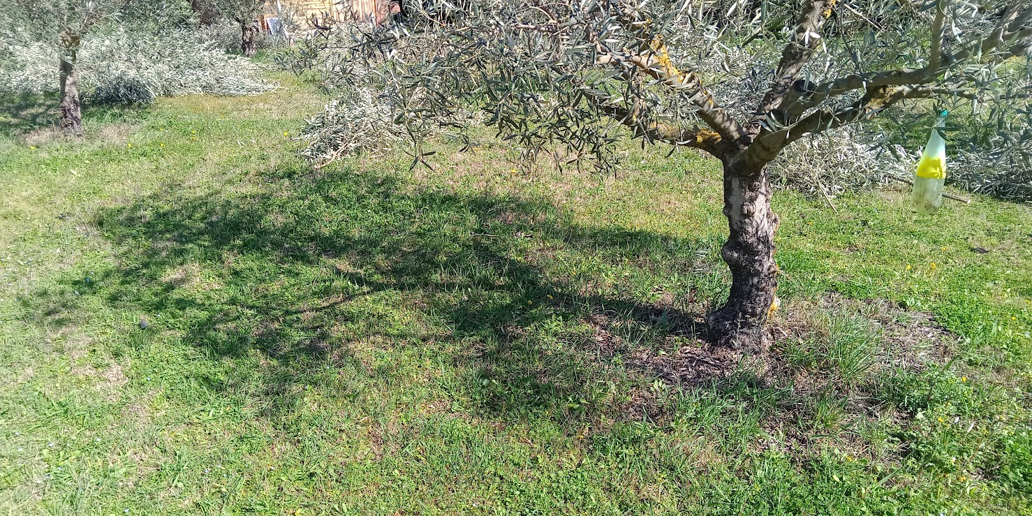 Ombre au sol