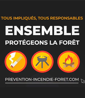 Protégeons la Forêt