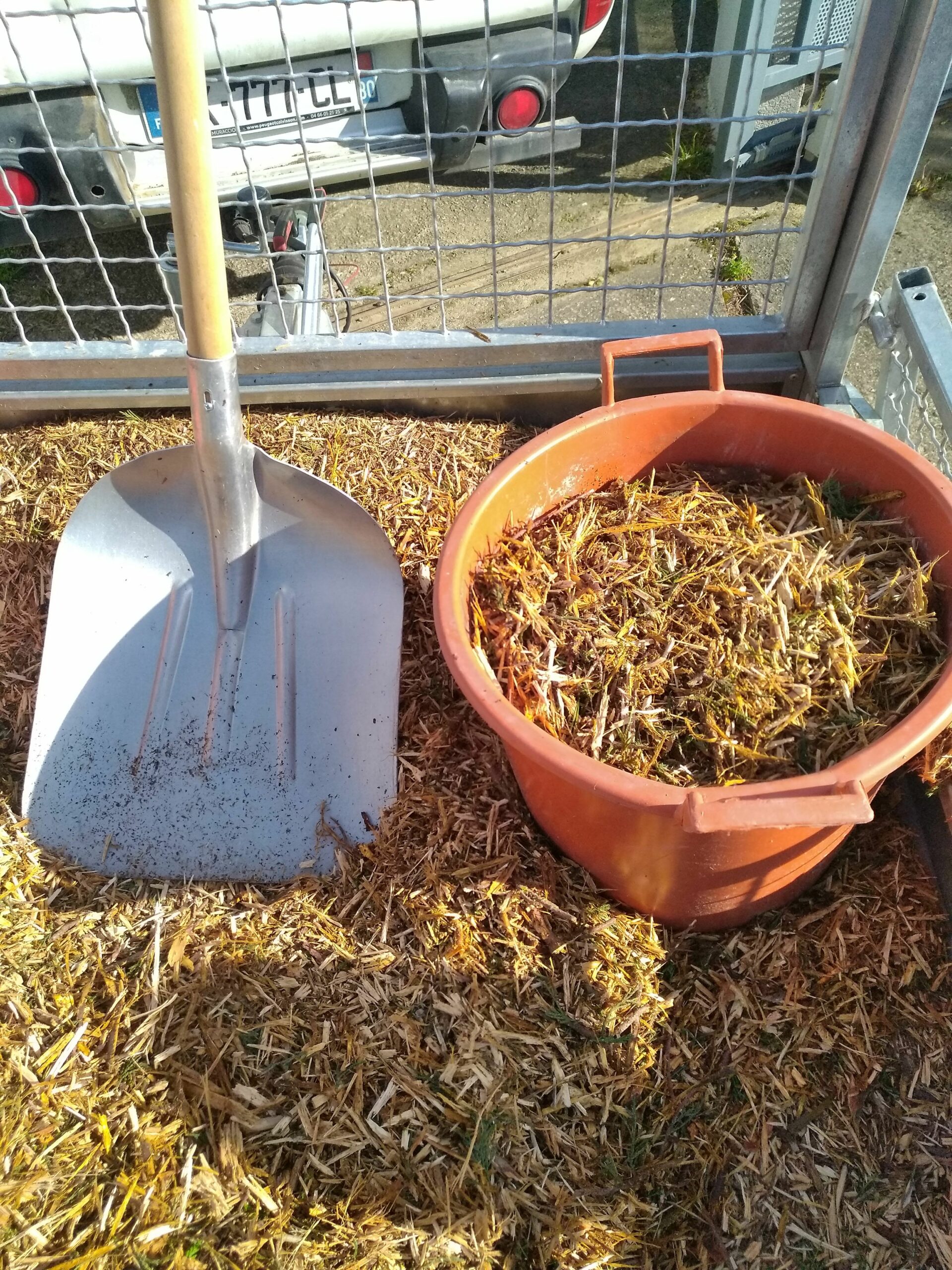Valorisation des branches broyées en paillage au jardin