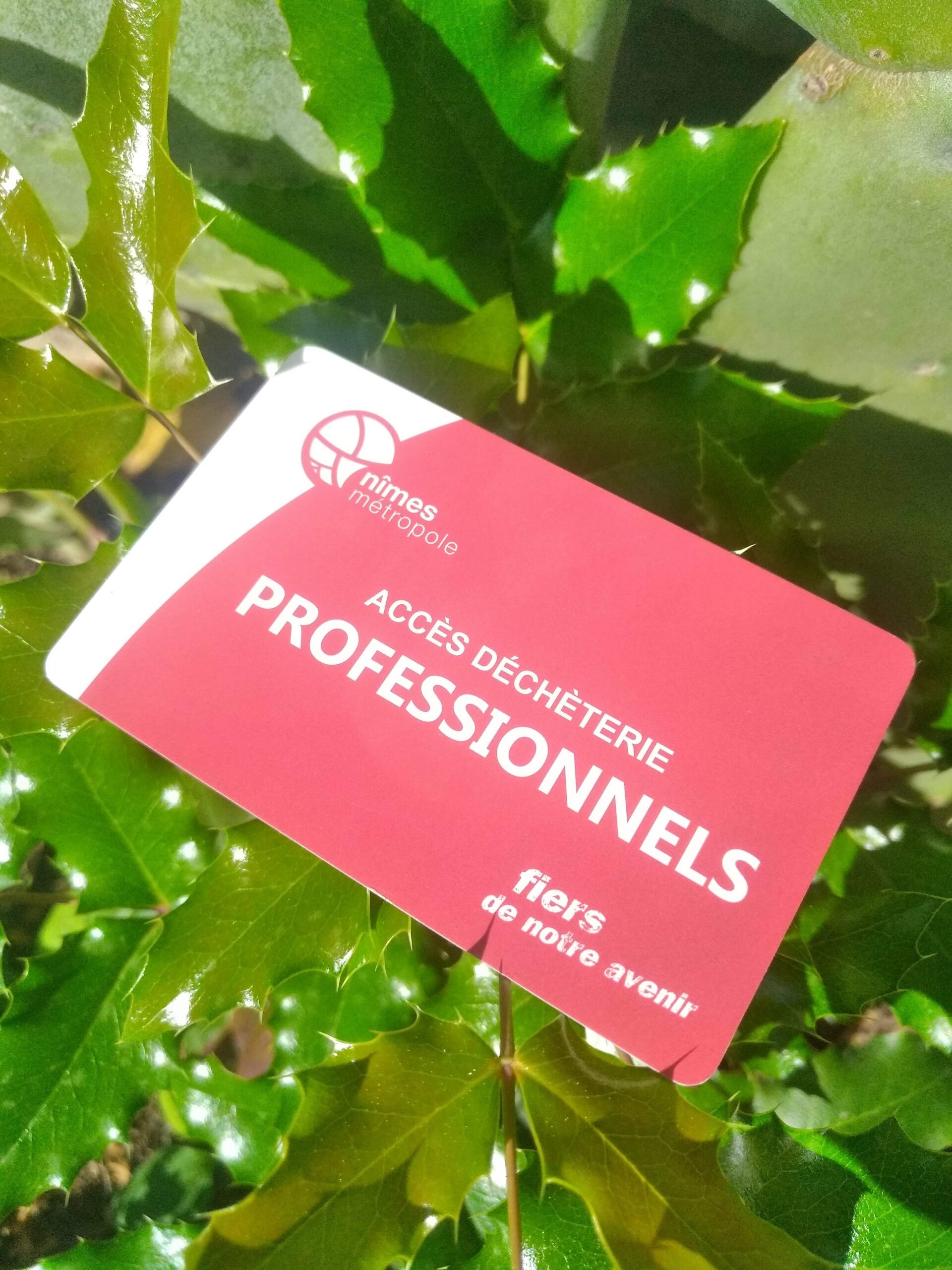 Évacuation de déchets verts et encombrants