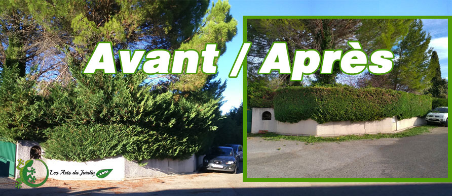 Avant / Après