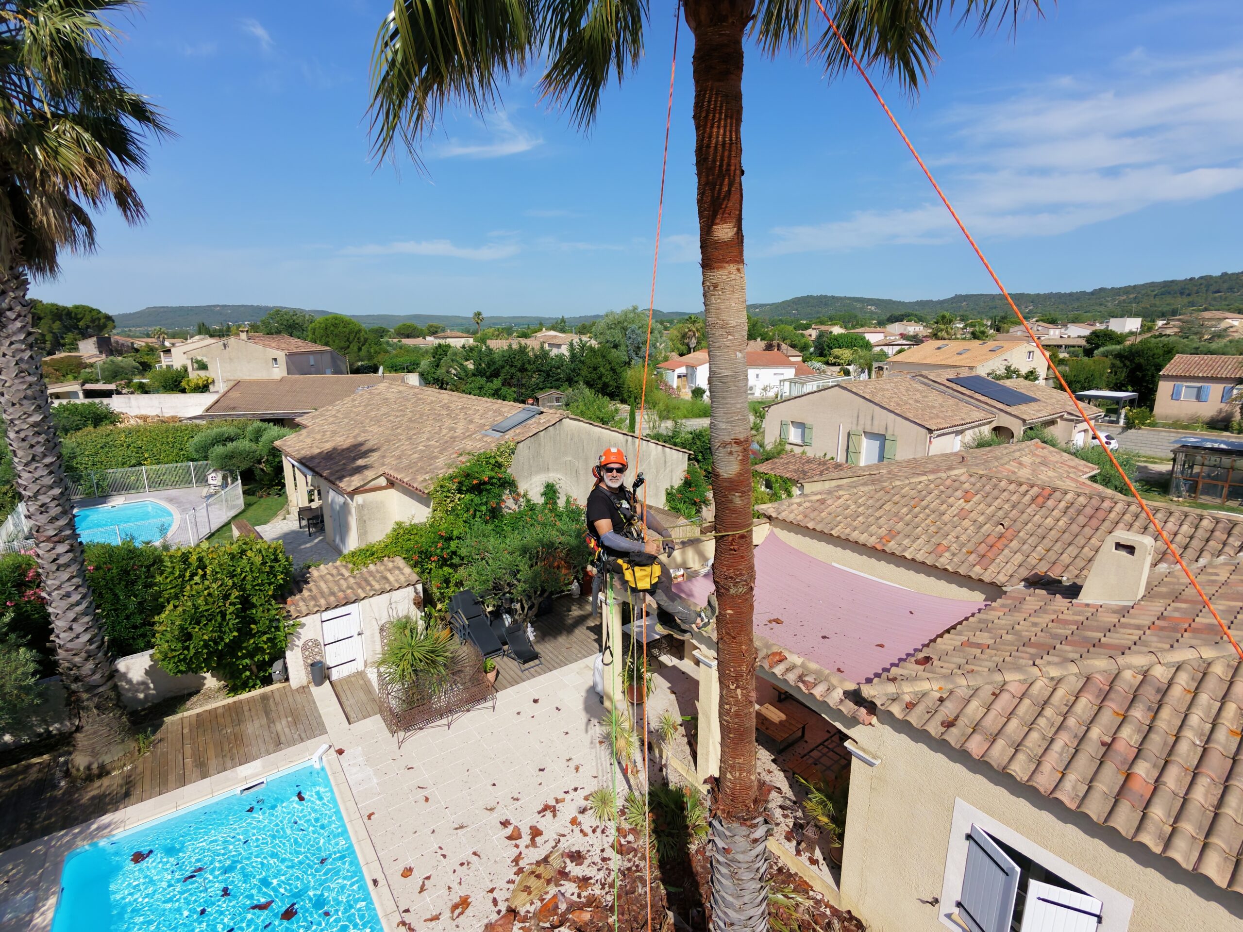 cerclage palmier dans le Gard
