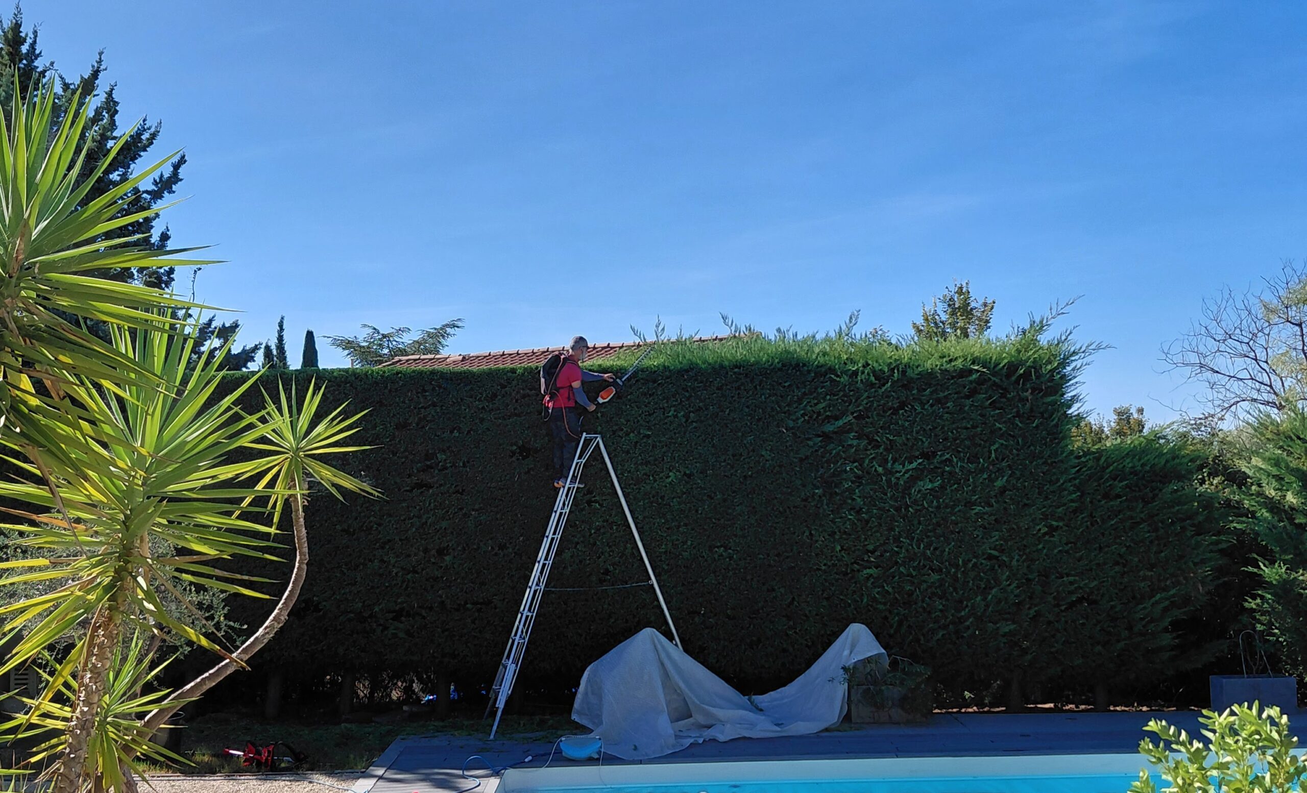 Haie taillée par Les Arts du Jardin dans le Gard